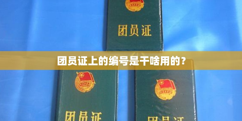 团员证上的编号是干啥用的？