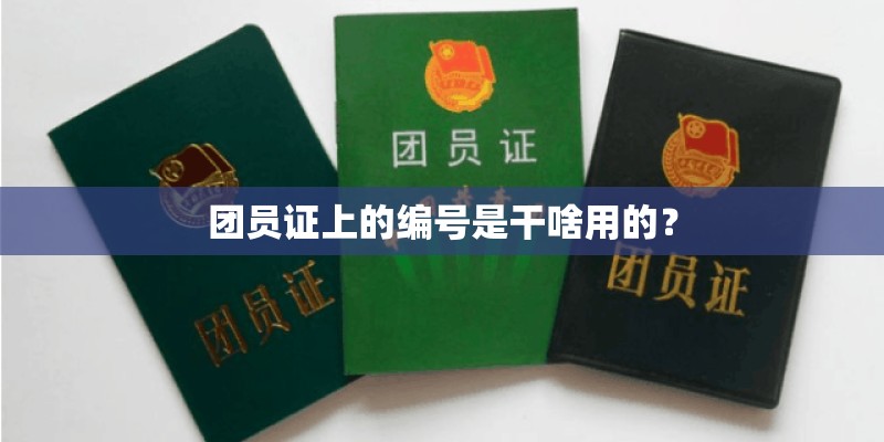 团员证上的编号是干啥用的? 团员证上的编号是干啥用的?