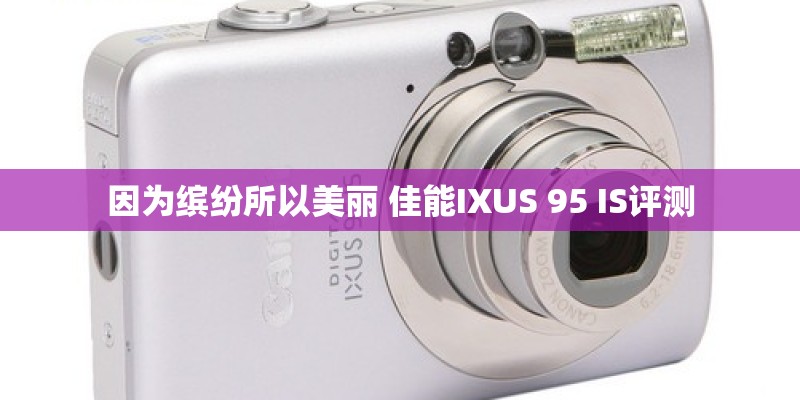因为缤纷所以美丽 佳能IXUS 95 IS评测