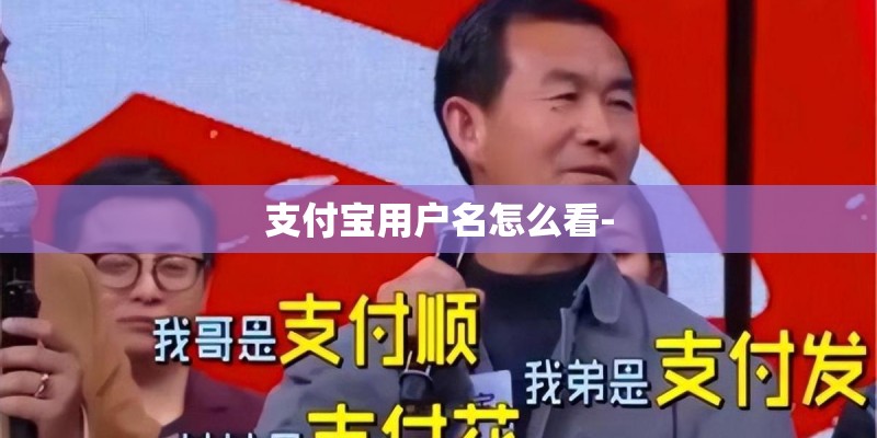 支付宝用户名怎么看-