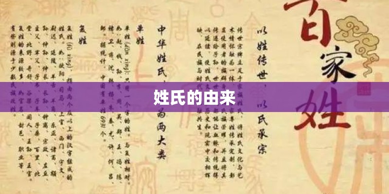 姓氏的由来 姓氏的由来