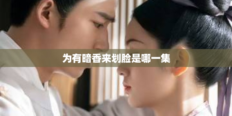为有暗香来划脸是哪一集