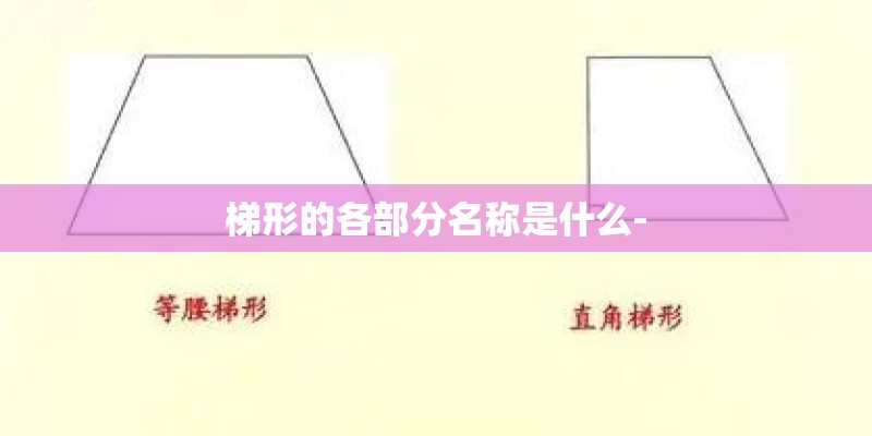 梯形的各部分名称是什么-
