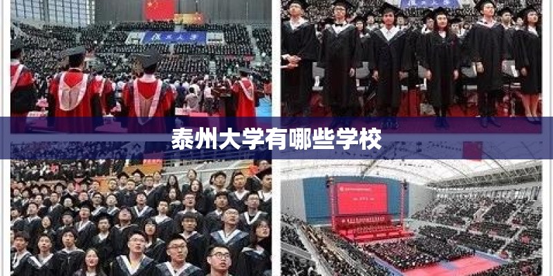 泰州大学有哪些学校