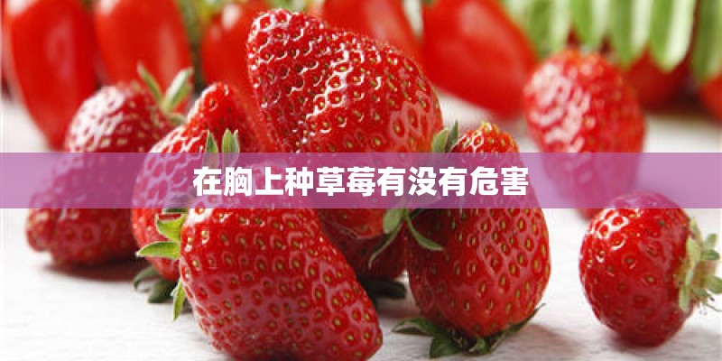 在胸上种草莓有没有危害