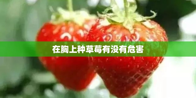 在胸上种草莓有没有危害