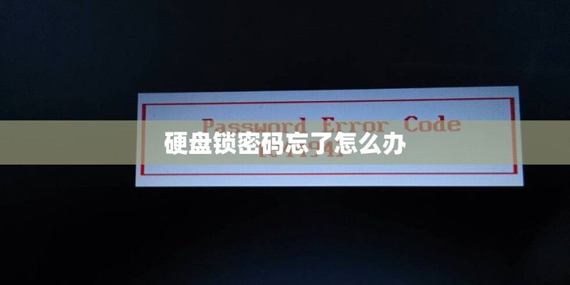 硬盘锁密码忘了怎么办
