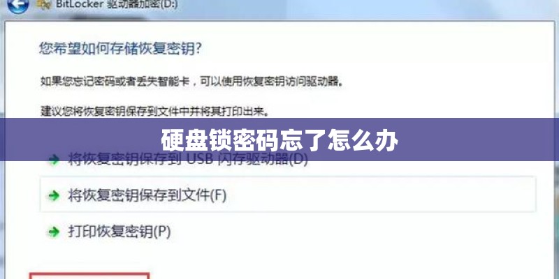 硬盘锁密码忘了怎么办 硬盘锁密码忘了怎么办