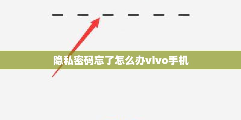 隐私密码忘了怎么办vivo手机 隐私密码忘了怎么办vivo手机