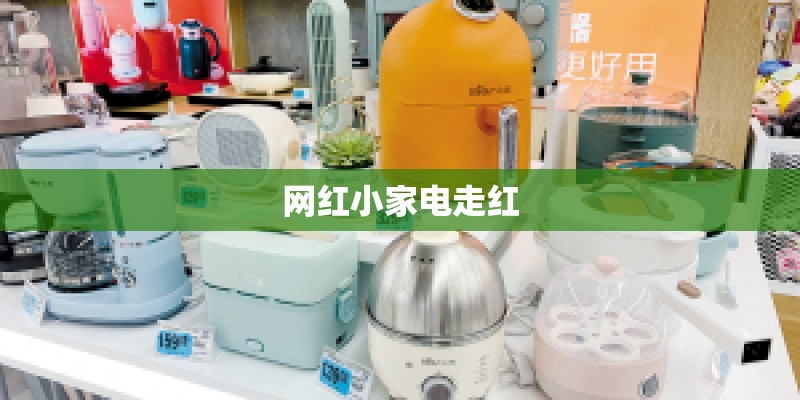 网红小家电走红