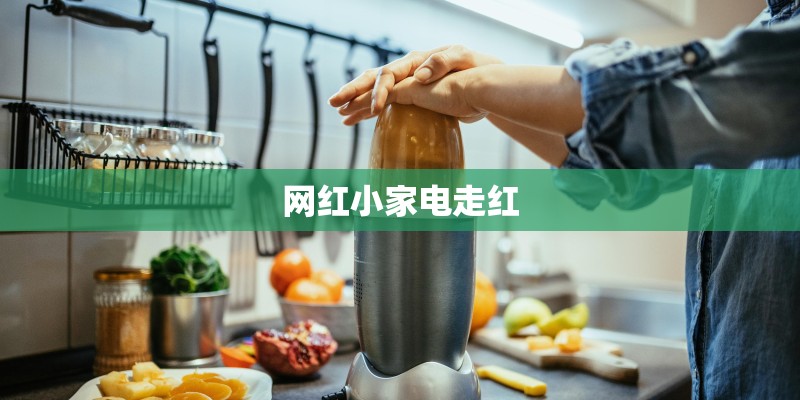 网红小家电走红