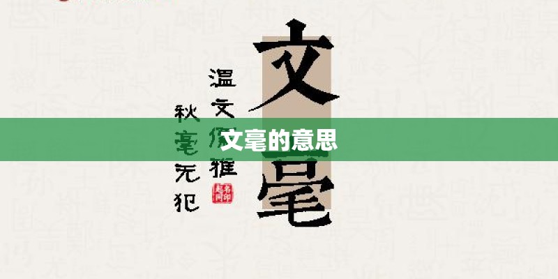 文毫的意思 文毫的意思