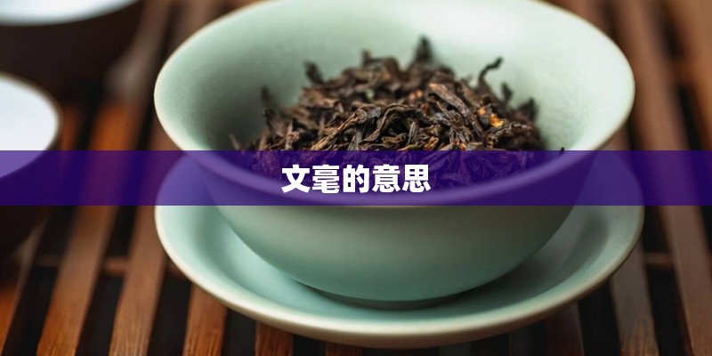文毫的意思 文毫的意思