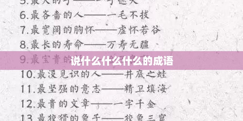 说什么什么什么的成语