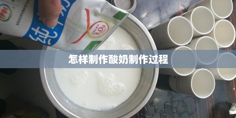 怎样制作酸奶制作过程