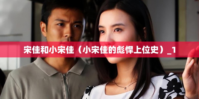 宋佳和小宋佳（小宋佳的彪悍上位史）_1