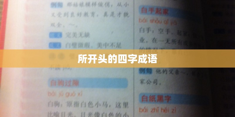 所开头的四字成语