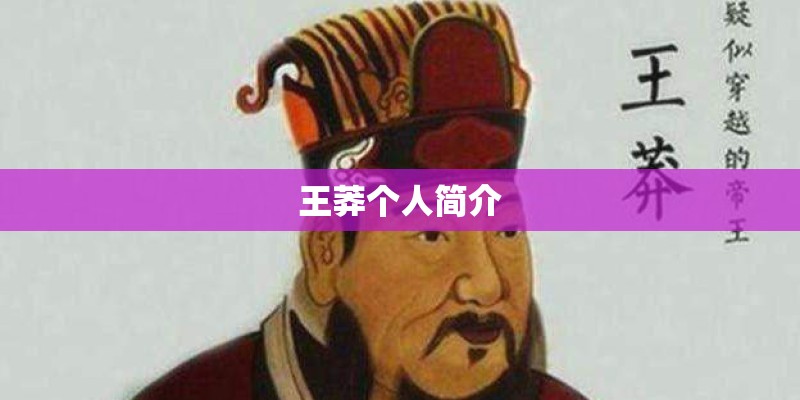 王莽个人简介