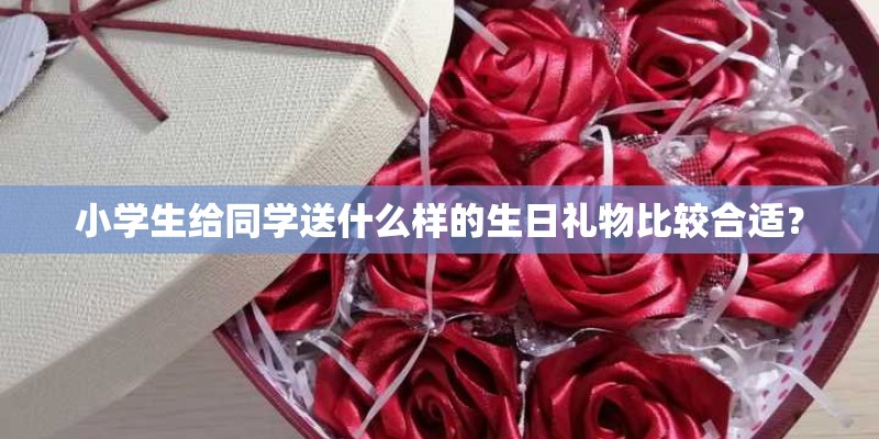 小学生给同学送什么样的生日礼物比较合适？