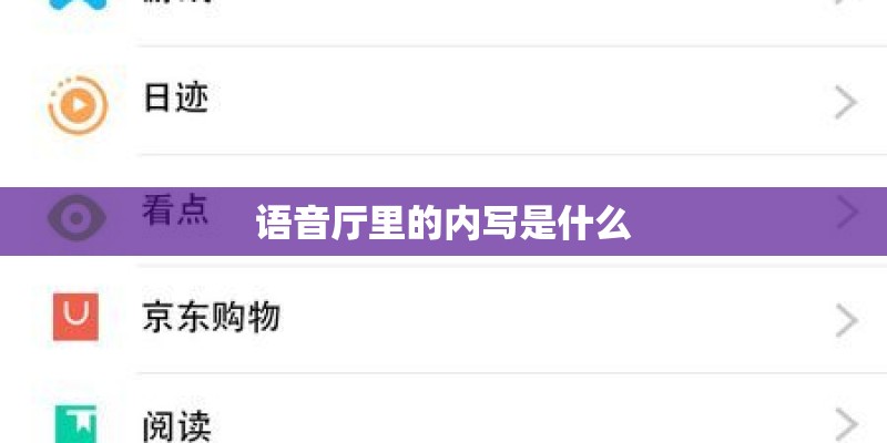 语音厅里的内写是什么