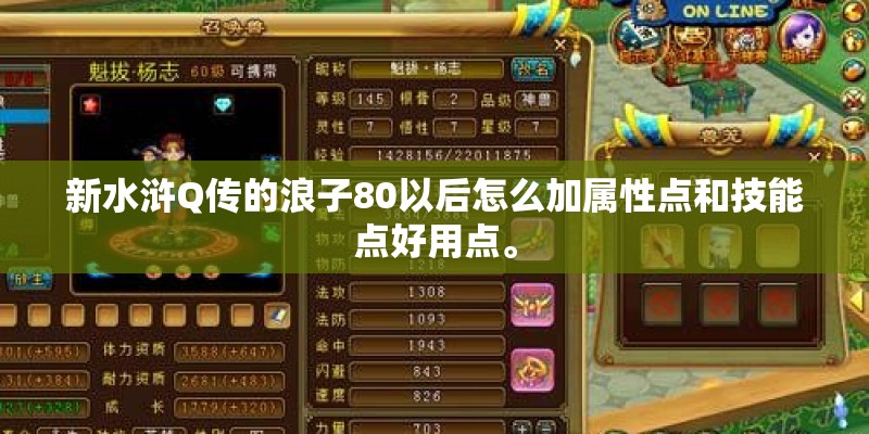 新水浒Q传的浪子80以后怎么加属性点和技能点好用点。