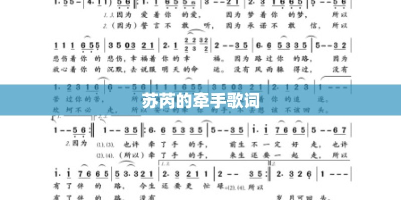苏芮的牵手歌词