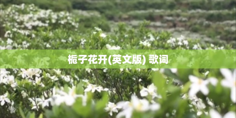 栀子花开(英文版) 歌词