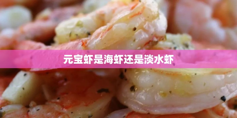 元宝虾是海虾还是淡水虾