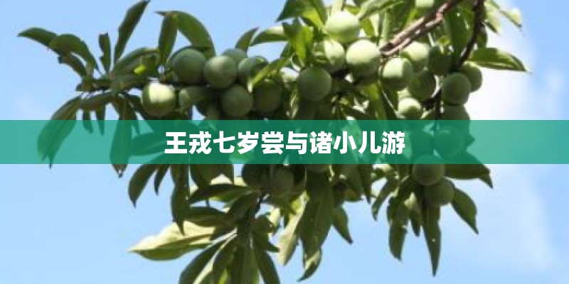 王戎七岁尝与诸小儿游