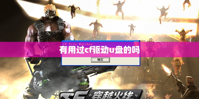 有用过cf驱动u盘的吗 有用过cf驱动u盘的吗