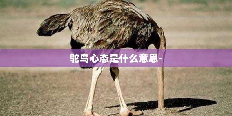 鸵鸟心态是什么意思-