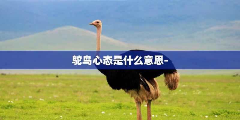 鸵鸟心态是什么意思-
