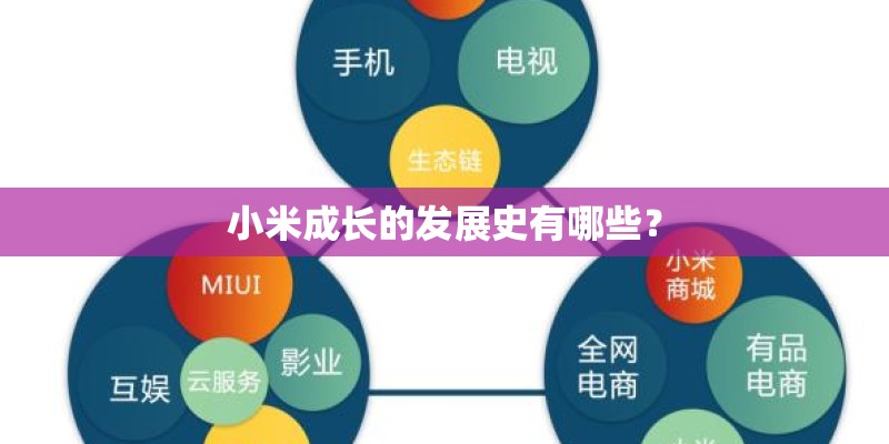 小米成长的发展史有哪些？