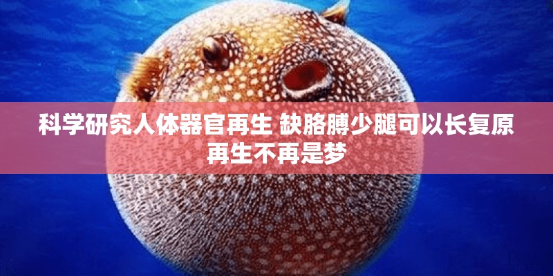 科学研究人体器官再生 缺胳膊少腿可以长复原再生不再是梦