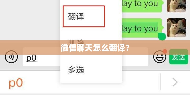 微信聊天怎么翻译？