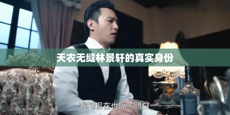天衣无缝林景轩的真实身份