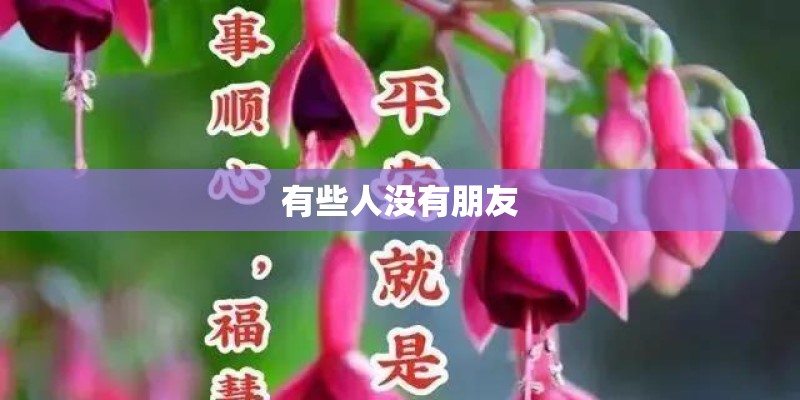 有些人没有朋友