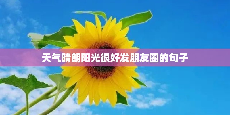 天气晴朗阳光很好发朋友圈的句子
