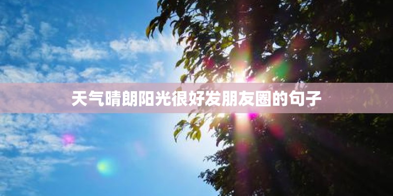 天气晴朗阳光很好发朋友圈的句子