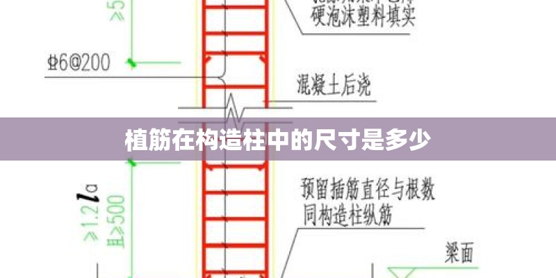 植筋在构造柱中的尺寸是多少