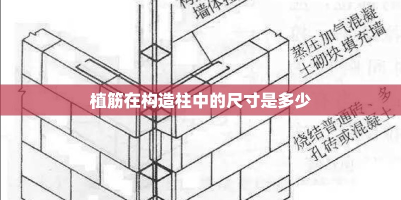 植筋在构造柱中的尺寸是多少