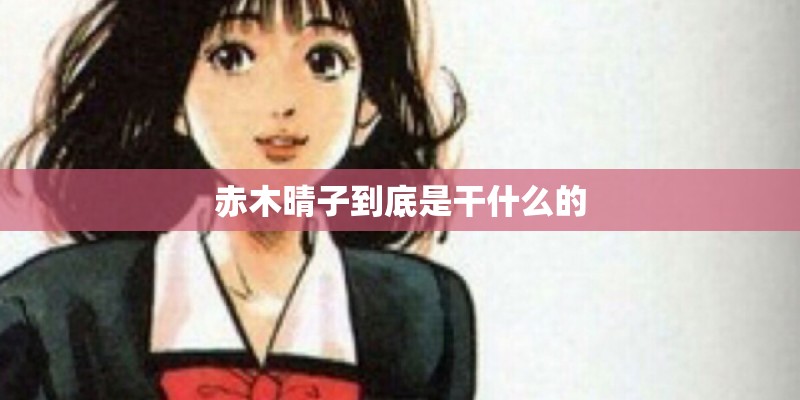 赤木晴子到底是干什么的