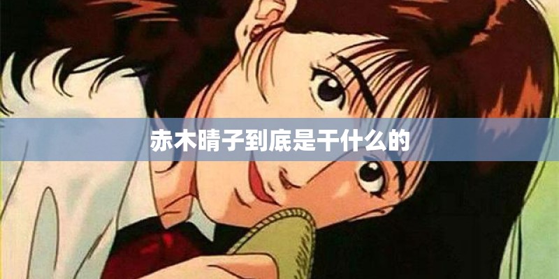 赤木晴子到底是干什么的