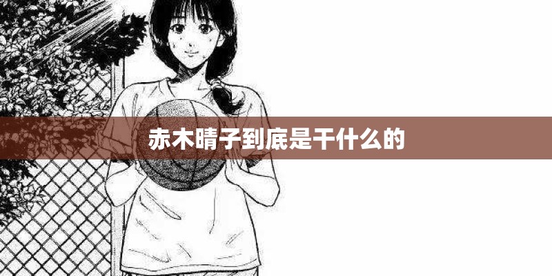 赤木晴子到底是干什么的