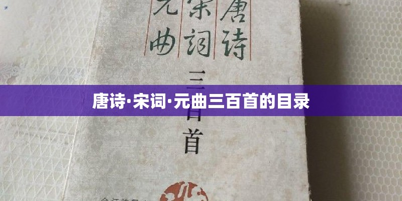 唐诗·宋词·元曲三百首的目录