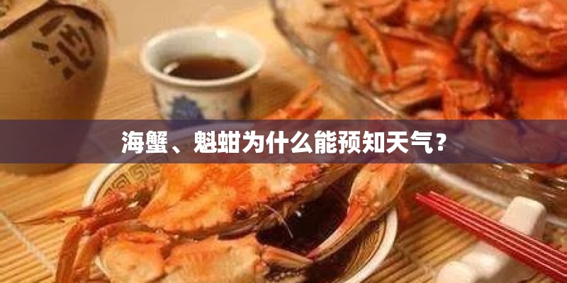 海蟹、魁蚶为什么能预知天气？