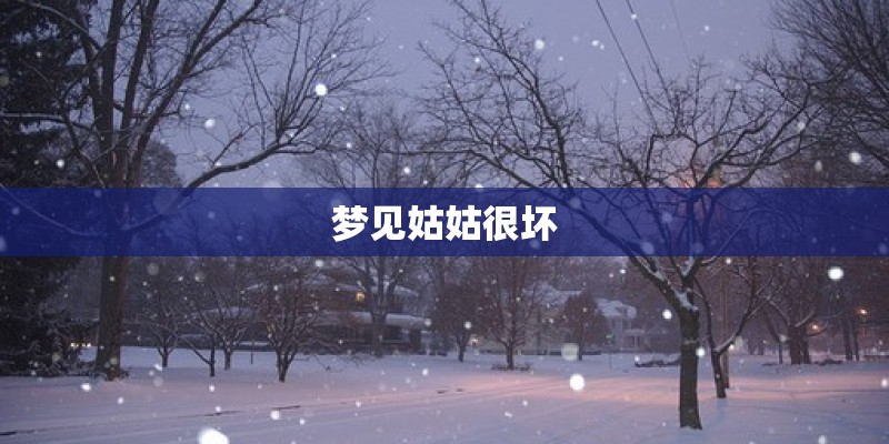 梦见姑姑很坏