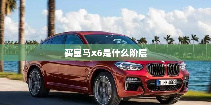 买宝马x6是什么阶层