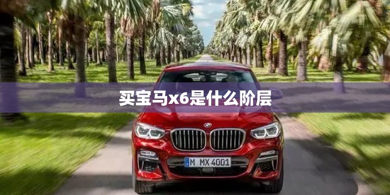 买宝马x6是什么阶层