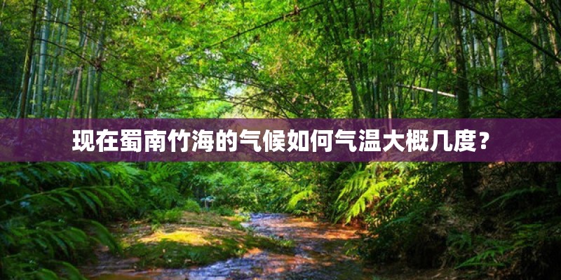 现在蜀南竹海的气候如何气温大概几度？